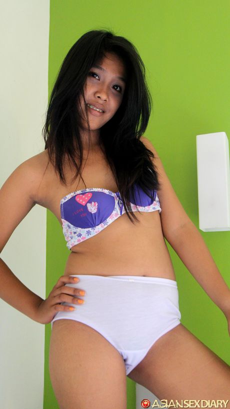 The Asian teen Sandy gets her hairy pussy banged by a horny guy